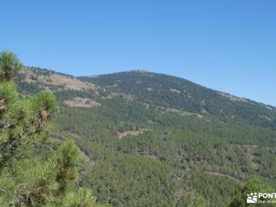 embalse de La Jarosa - Bosque Plateado  federacion de montaña de madrid club senderismo madrid grupo